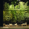 Phyto-Travellers ZKM | Karlsruhe