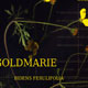 Goldmarie's plants with the name gold | Bidens ferulifolius (Jacq.) DC. | Goldmarie